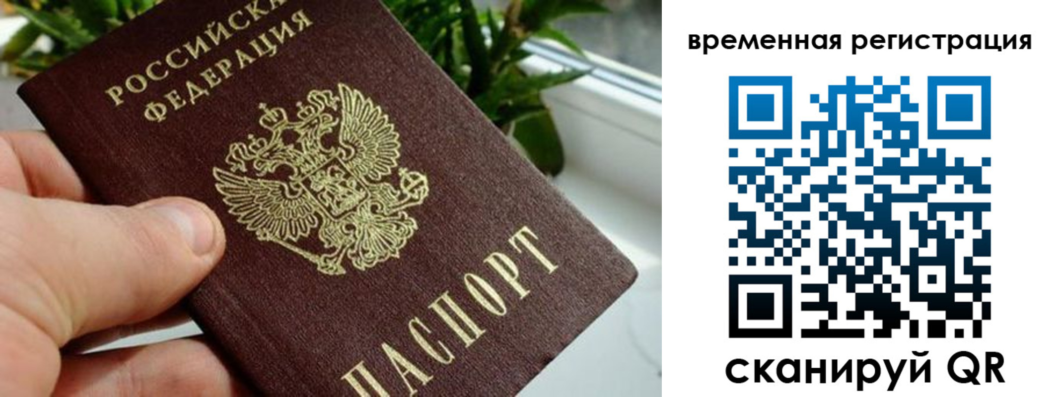 прописка поиск в Беслане